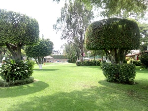 3946f.jpg