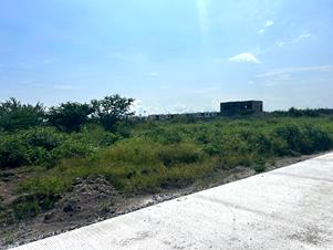 7131e.jpg