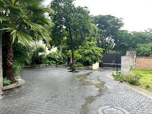 7237b.jpg